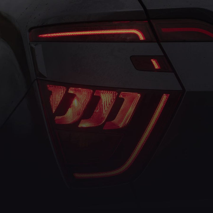 TAIL LIGHTS